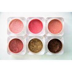 Naked Cosmetics Mica Power Pigments (6 Colors) Eye Shadow, Eye Liner, Lip Stick, Blush, Bronzer and Much More! (Blushing Bronze)