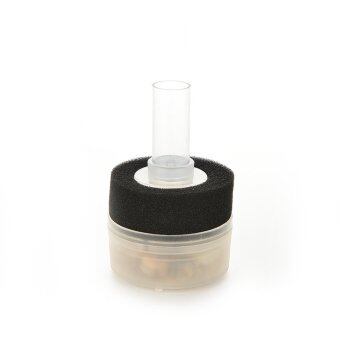 rencontre petite taille