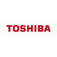 TOSHIBA DYNAEDGE DC-100-C0022U Malaysia