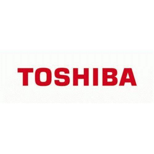 TOSHIBA DYNAEDGE DC-100-C0022U Malaysia