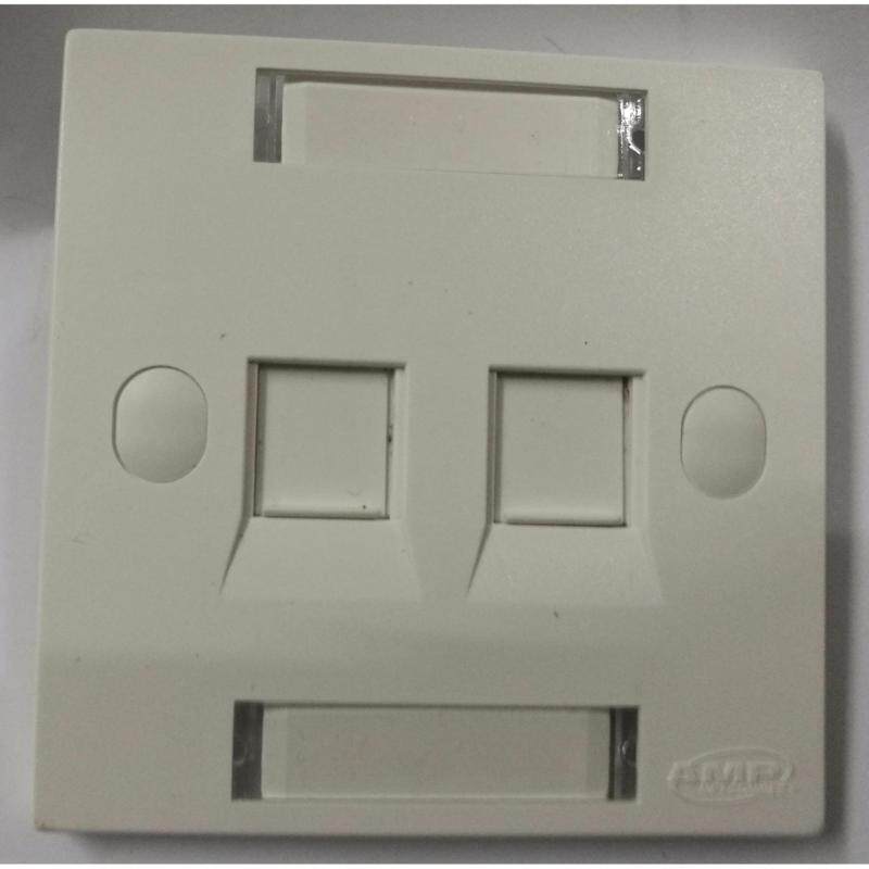 Buy 100 units of AMP Netconnect CAT5e RJ45 Wall Face Plate Socket (Double Port) Malaysia