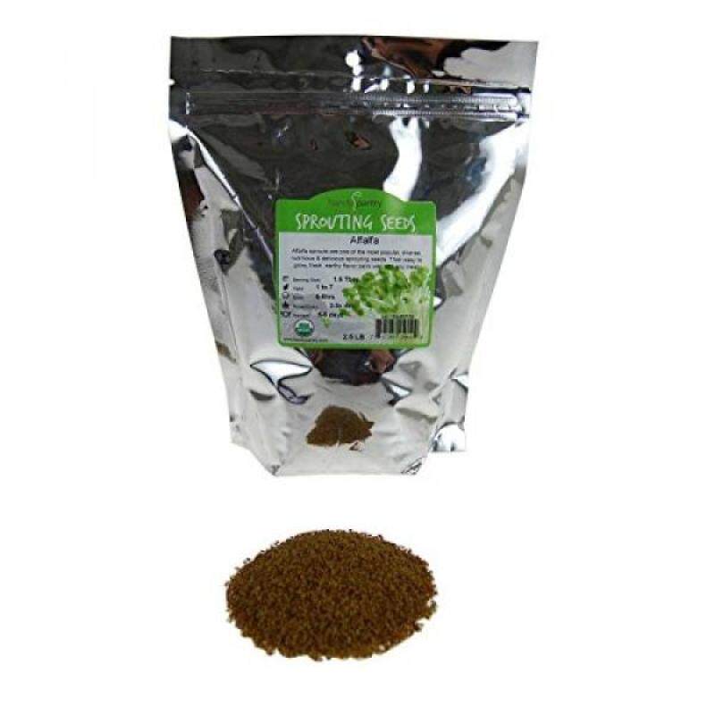 Buy Certified Organic Alfalfa Sprouting Seed- 2.5 Lbs - Handy Pantry Brand - High Sprout Germination- Gardening, Growing Salad Sprouts, Planting, Food Storage & More Malaysia